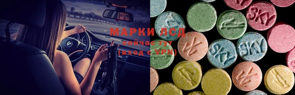 ECSTASY Аркадак