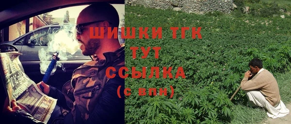 прущая мука Арсеньев