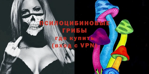 прущая мука Арсеньев