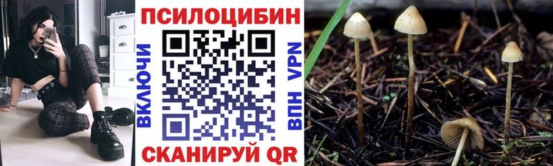 Псилоцибиновые грибы Psilocybine cubensis Всеволожск